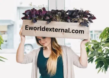 eworldexternal.com