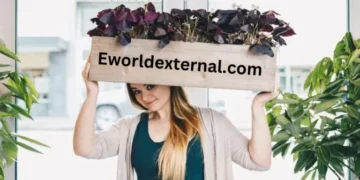 eworldexternal.com
