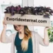 eworldexternal.com
